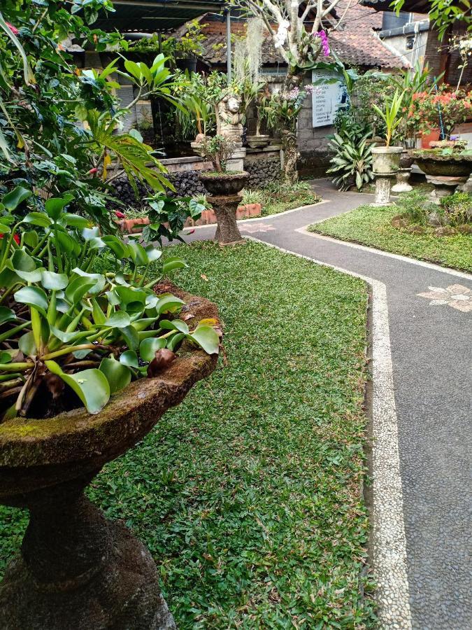 Degeg Ubud Homestay 외부 사진